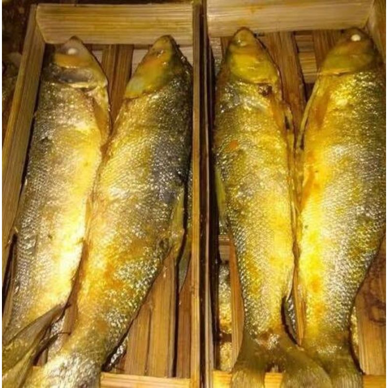 

ISI 2 PCS - BANDENG PRESTO