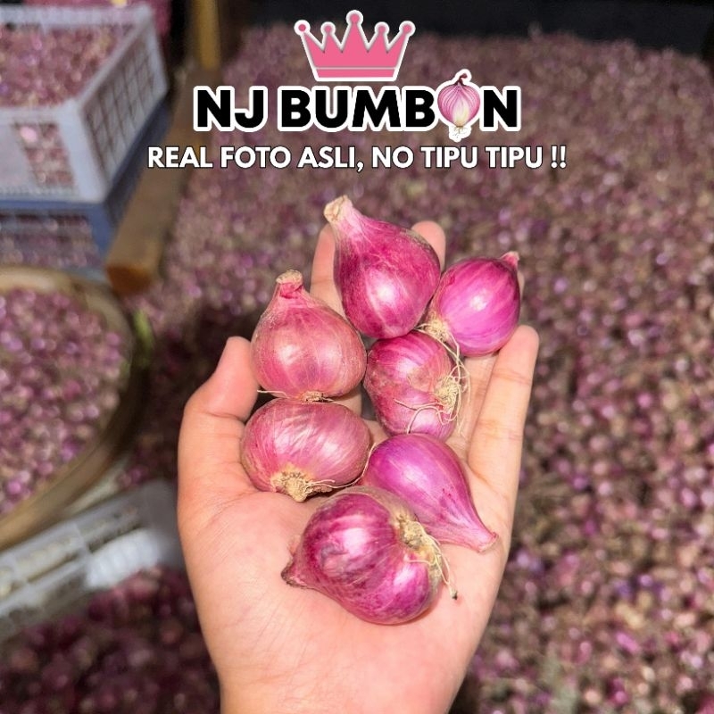 

Bawang Merah Tanggung Brebes 500gr - 1kg | Langsung Petani | Fresh & Murah