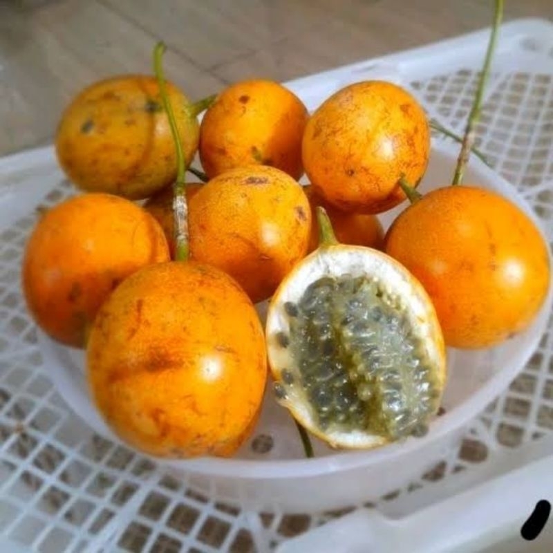 

Markisa manis 1 kg - markisa konyal matang di pohon