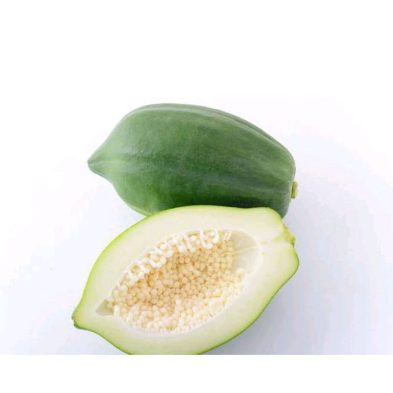 

Buah Pepaya Muda Segar untuk Masakan dan lalap