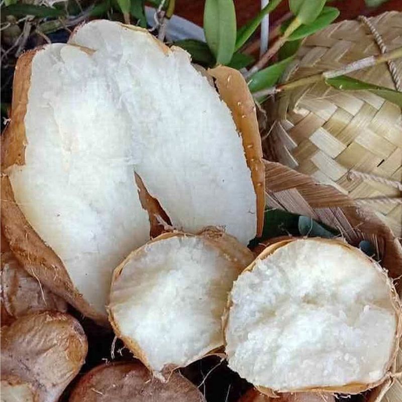 

Gembili Ketan Mentah 1 KG | Ngemil Sehat