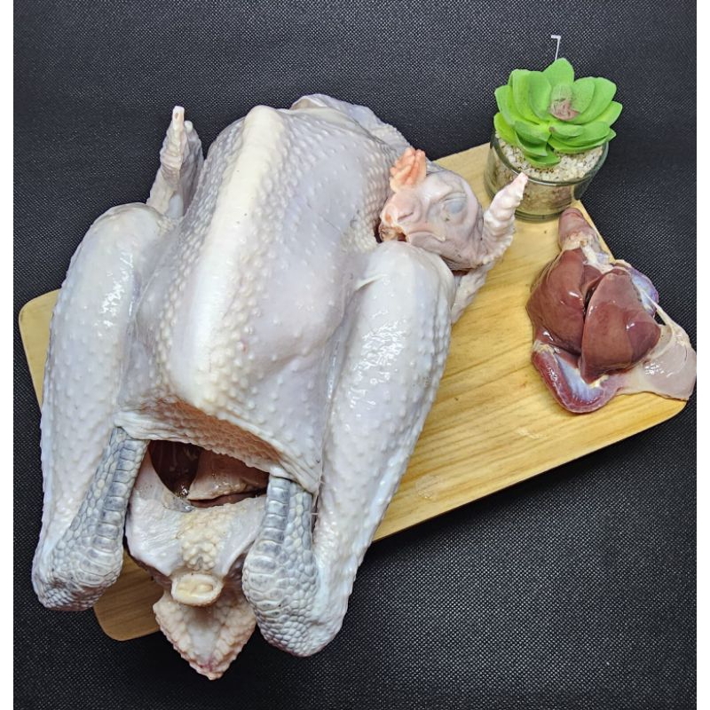 

ayam kampung fresh