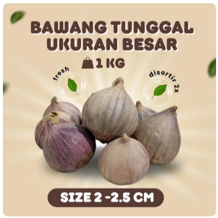 

Bawang Putih Tunggal Lanang Fresh Kualitas Super Ukuran BESAR 2 - 2.5 cm