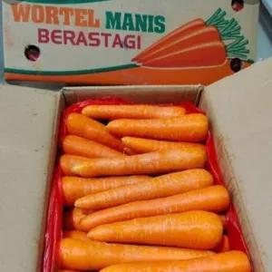 

wortel 1000g