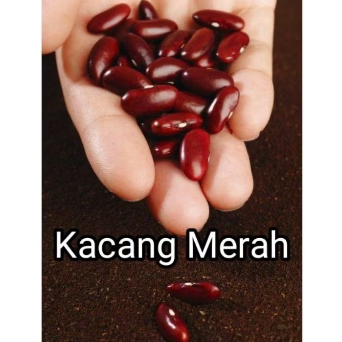 

Kacang Merah 100g 200gr