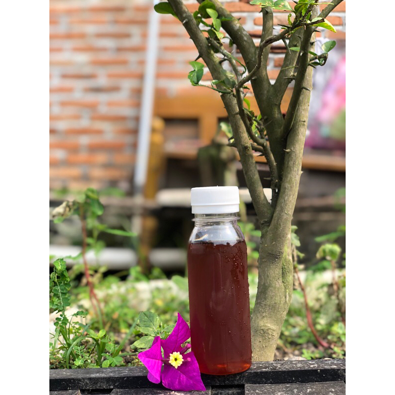 

Madu Asli Hutan Pekanbaru