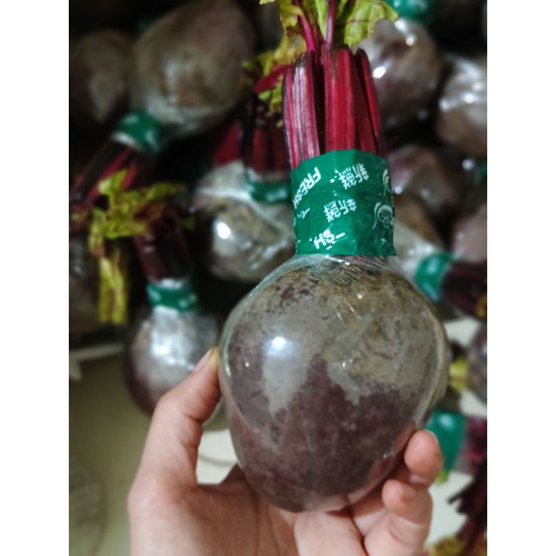 

Buah Bit Beet Beetroot fresh segar Penambah Darah Imun Tubuh