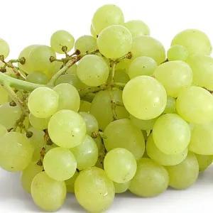 

anggur hijau seedless (non biji)