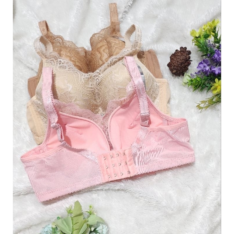 Bra Wanita Kawat Busa Tebal -+4-5cm Bra Push Up Kait 3 bh 2996