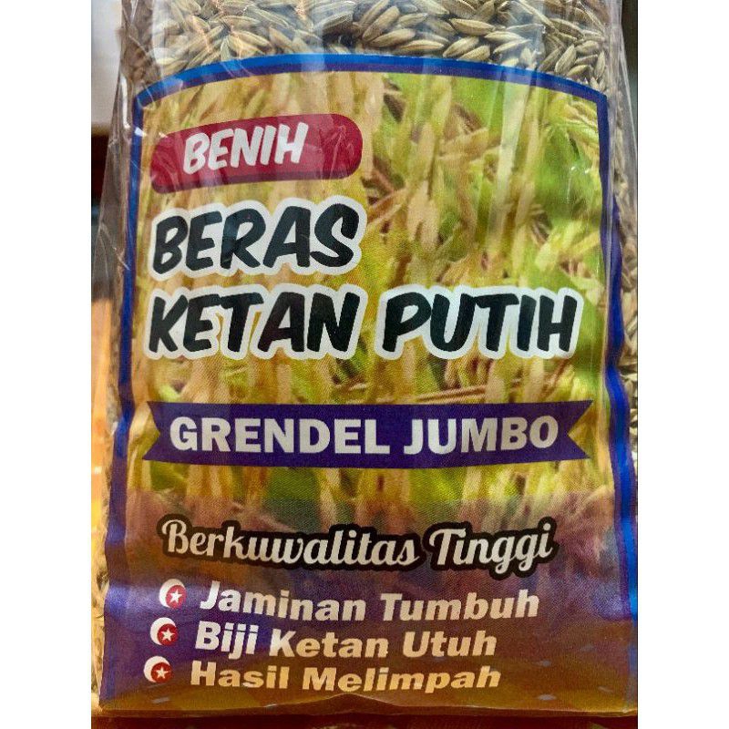 

1kg benih beras ketan putih grendel jumbo siap tanam