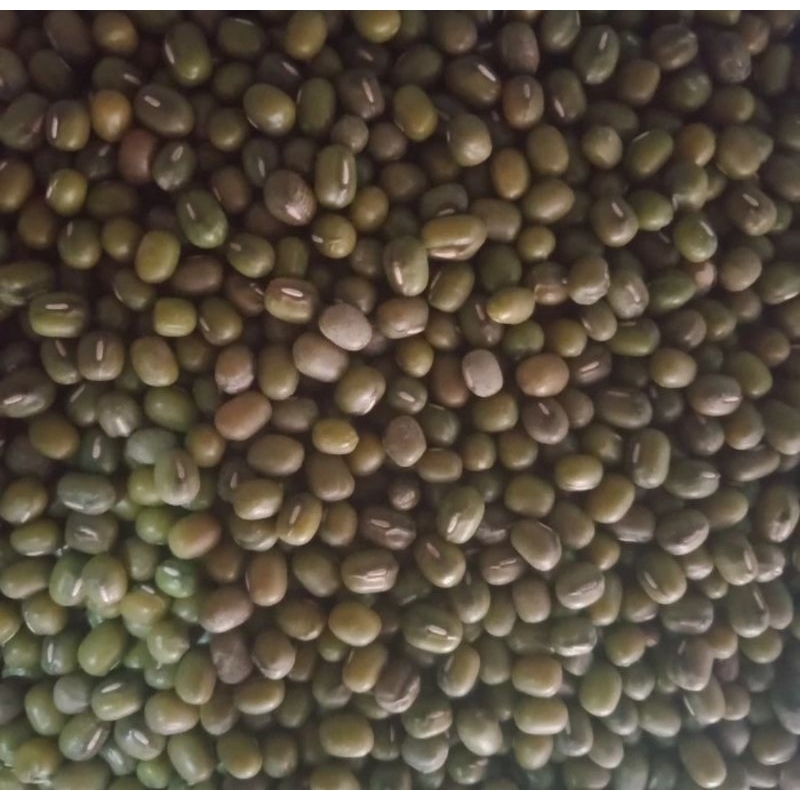 

kacang ijo 250 gram