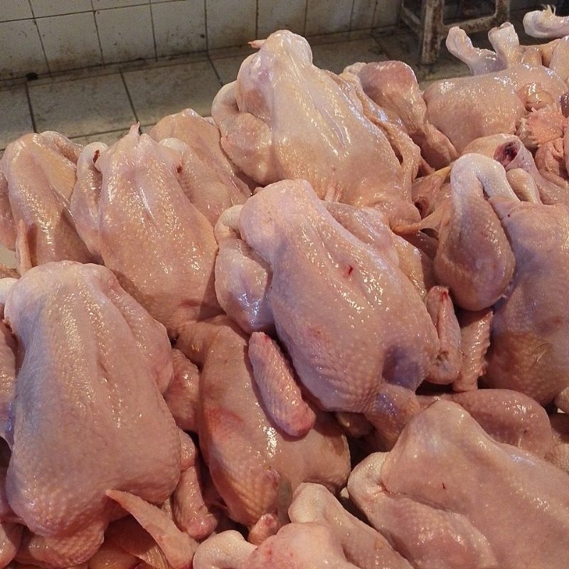 

ayam utuh berat 700-900gr