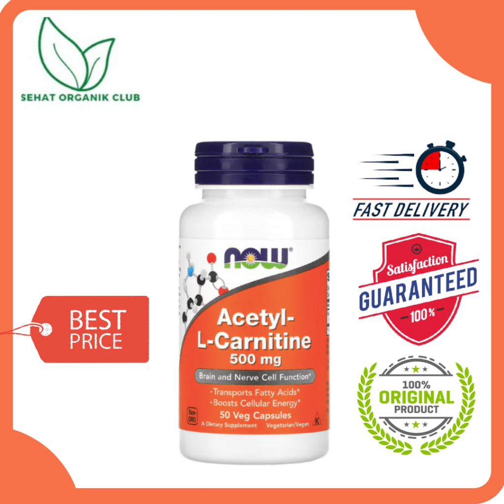 NOW Foods Acetyl-L-Carnitine Acetyl L Carnitine 500 mg 50 Veg Capsules