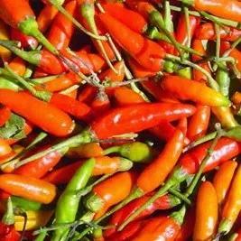 

cabe rawit 1000g