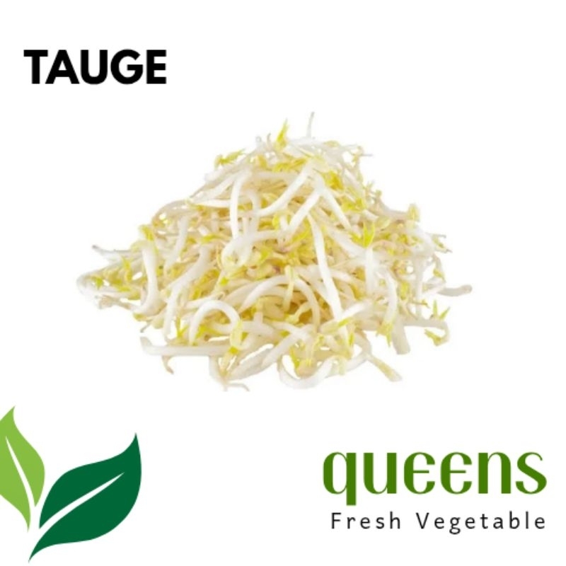 

Tauge Segar 100gr