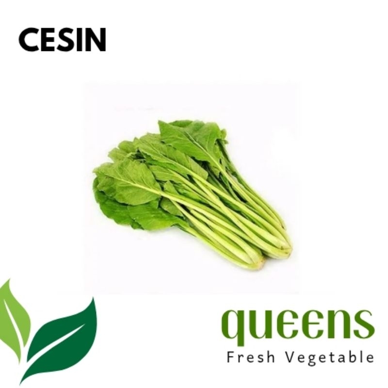 

Sayur cesin/sawi hijau 250gr