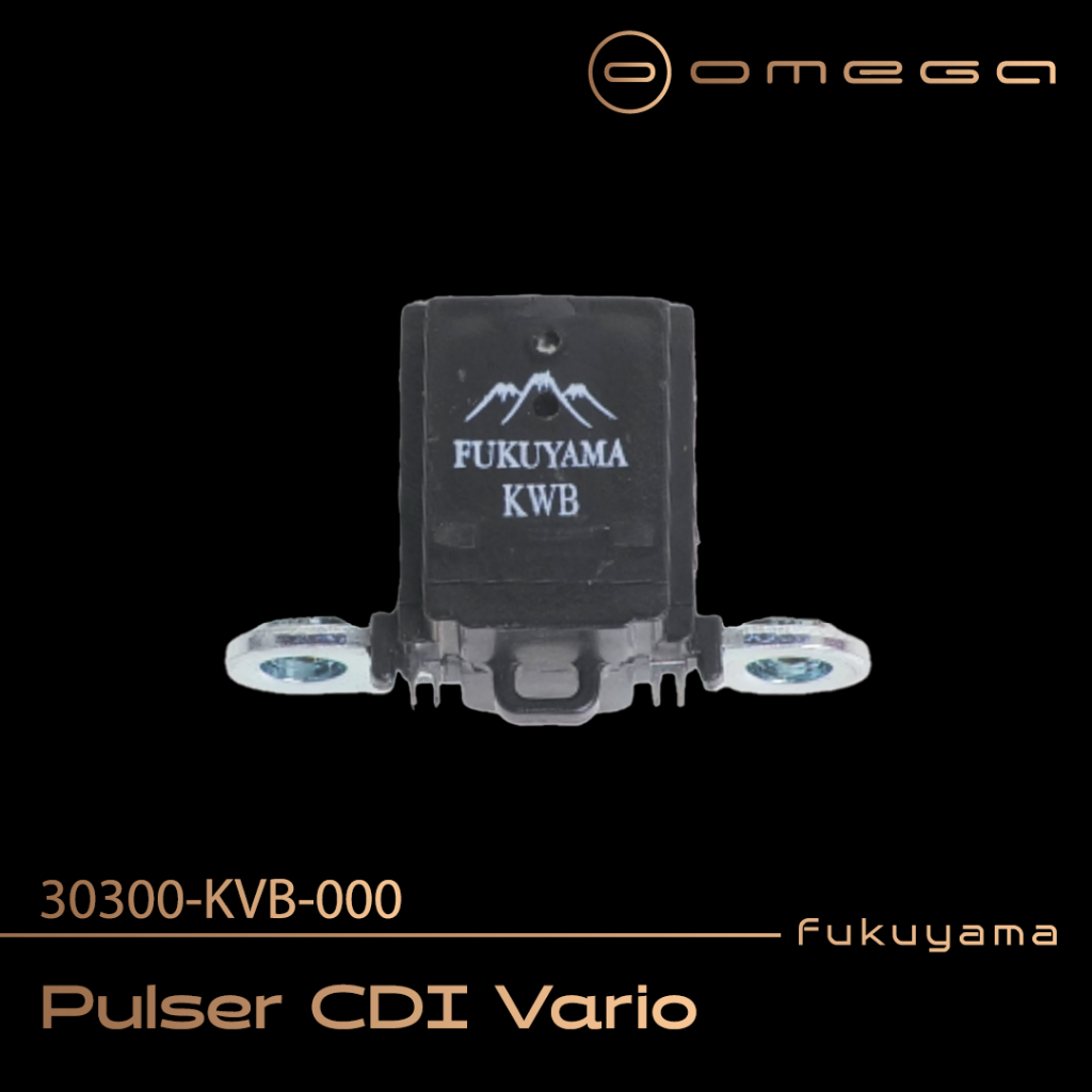 Fukuyama Pulser CDI Vario