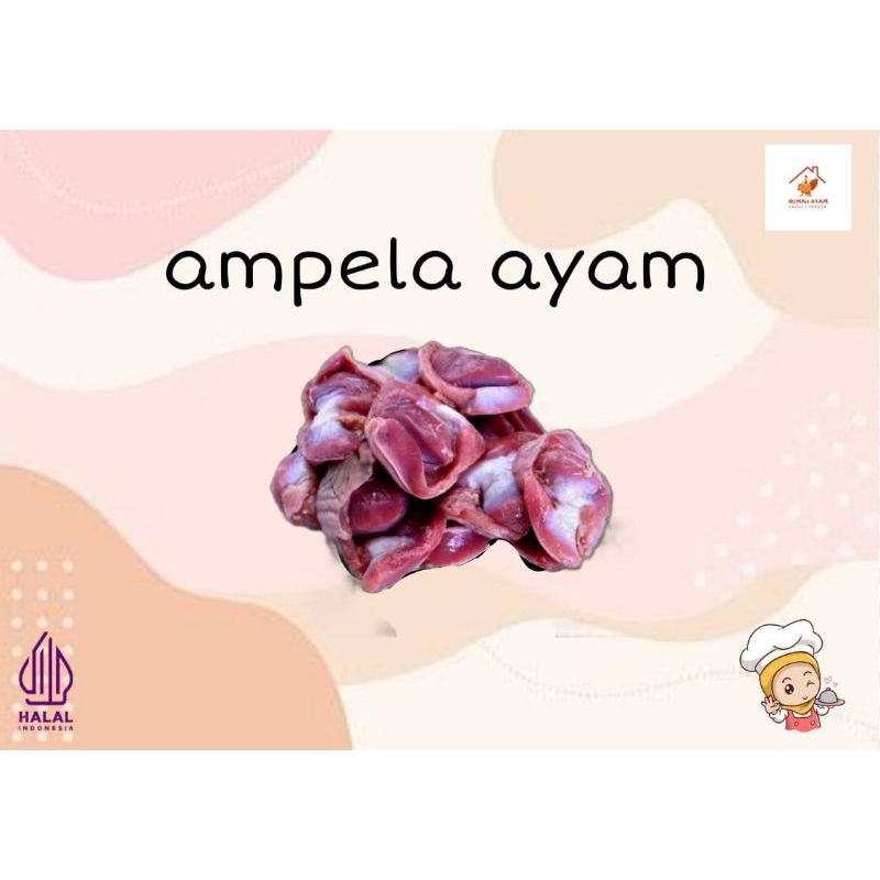 

ampela ayam bersih 1kg frozen