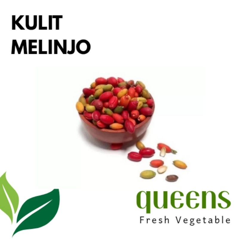 

Kulit Melinjo 100gr