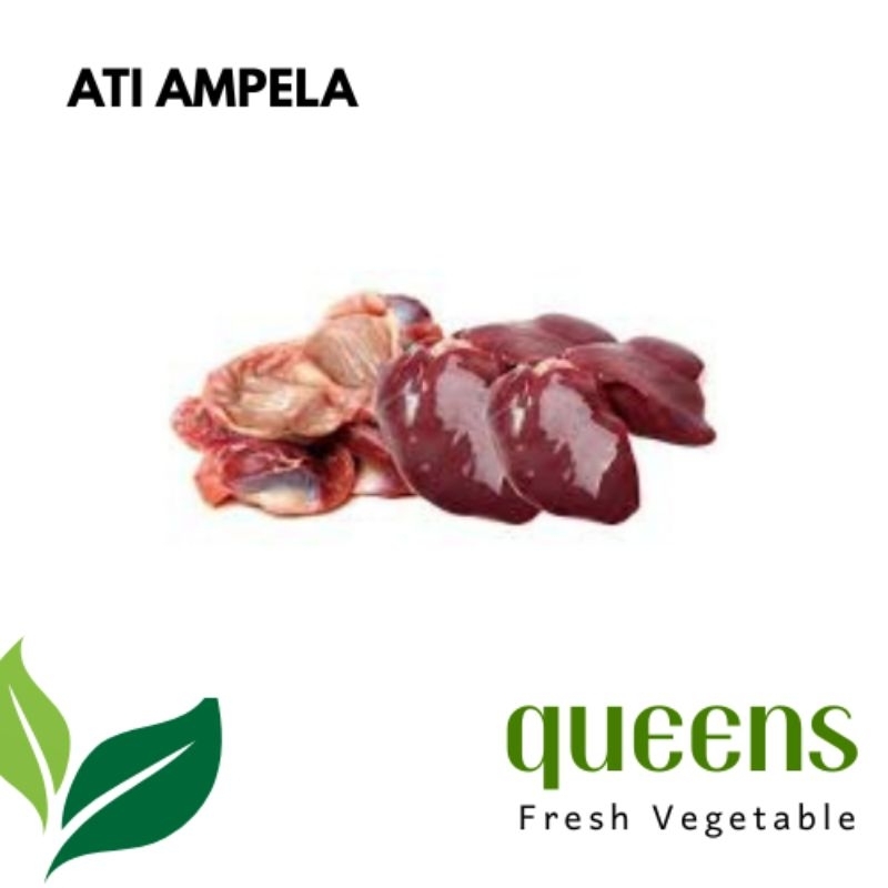 

Ati Ampela Segar 250gr