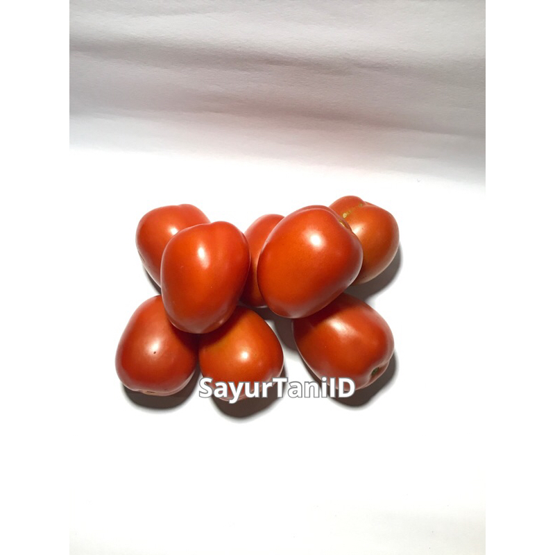 

Tomat jumbo-tomat segar
