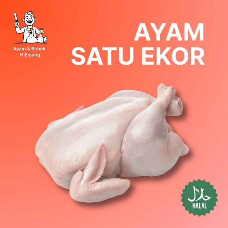 

Ayam Parent Utuh 2 Kg - Fresh Frozen | Ayam & Bebek H. Enjang