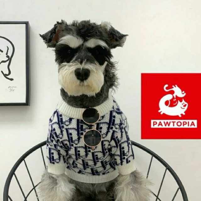 PAWTOPIA X DIOR - Baju Anjing & Kucing Motif Putih | Pakaian Modis & Stylish untuk Anjing dan Kucing