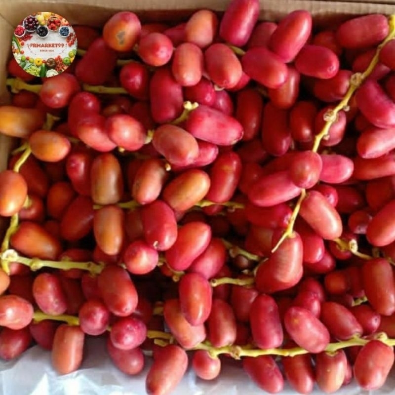 

kurma muda merah stik absolut fresh impor buat promil