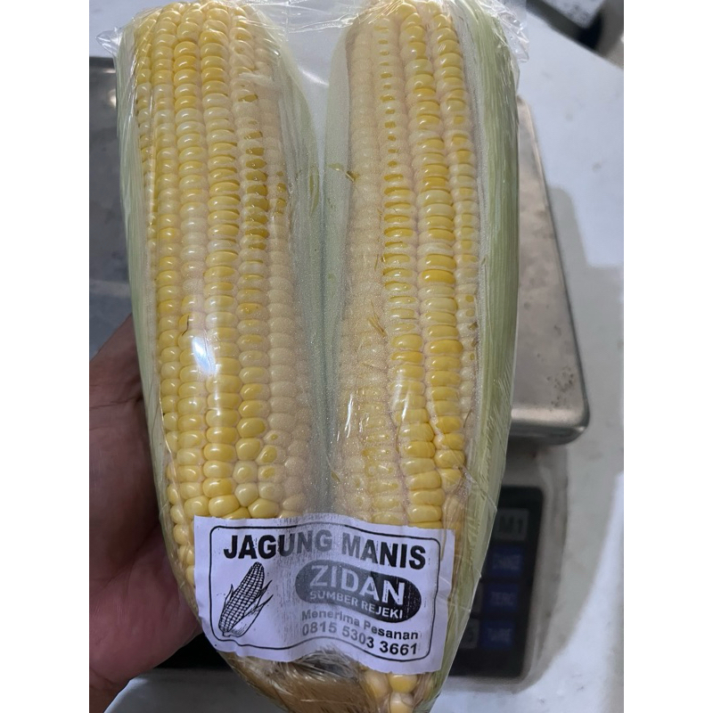 

Jagung Manis 2 biji