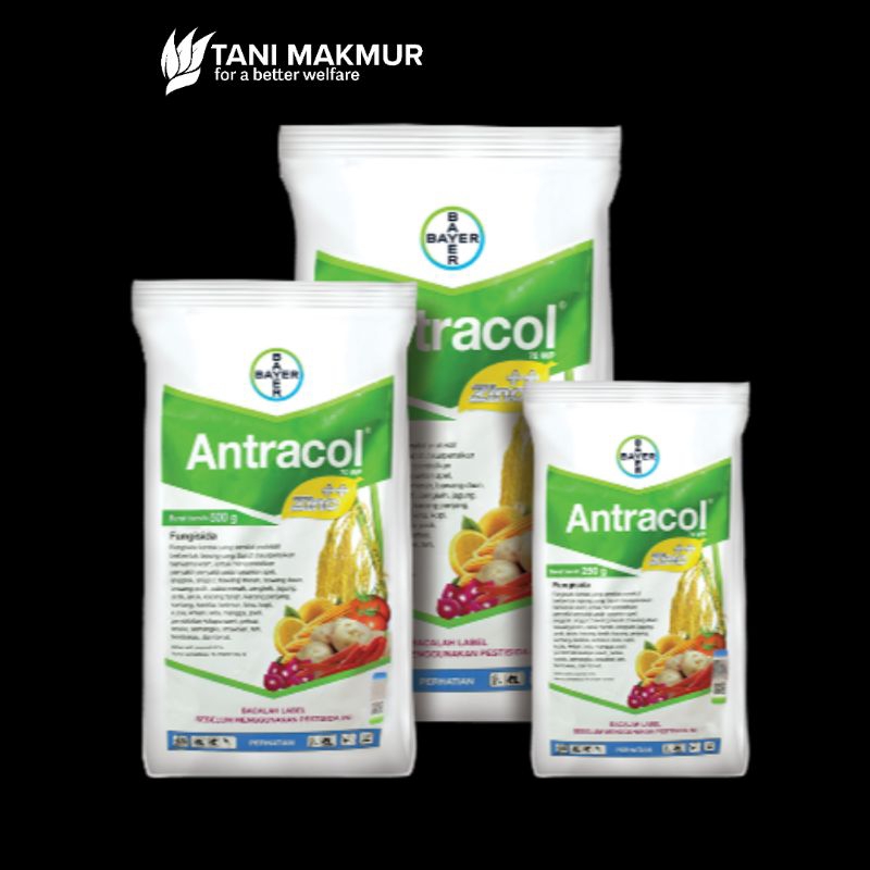 Antracol 70WP 1kg