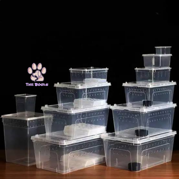 (The Bool's) Reptil Box Kandang Besar Feeding Hamster/Reptil/Gecko/kura-kura