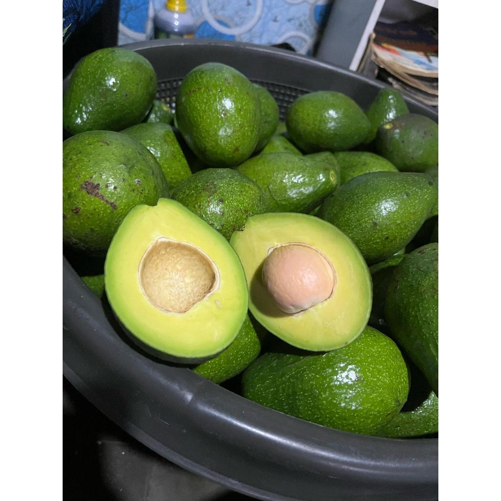 

naturaavocado - Alpukat Mentega kuning tua super fresh isi 1-3pcs 1KG