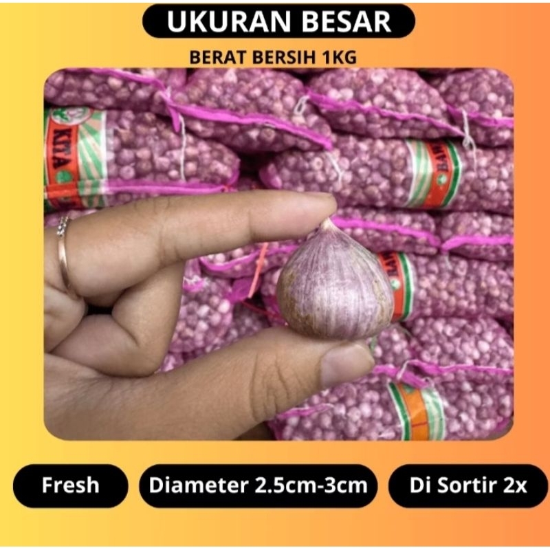 

Bawang Putih Tunggal