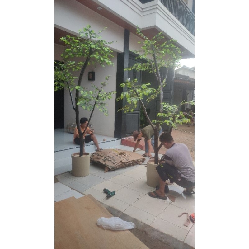 pohon minificus artificial tinggi 2,5m