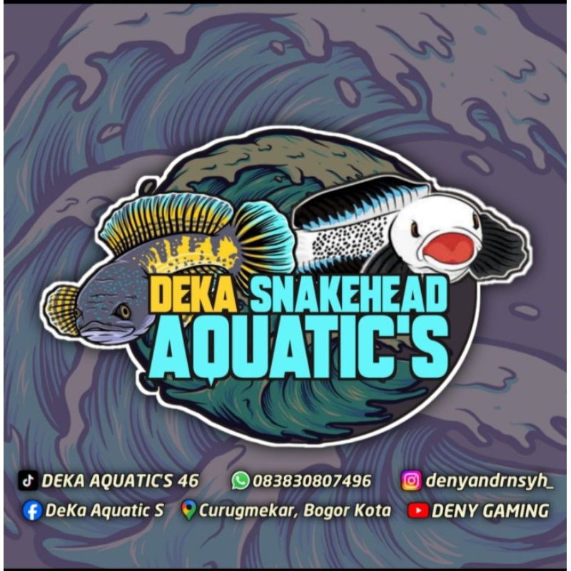 Red Barito Single Tank Size 13cm - 15cm±