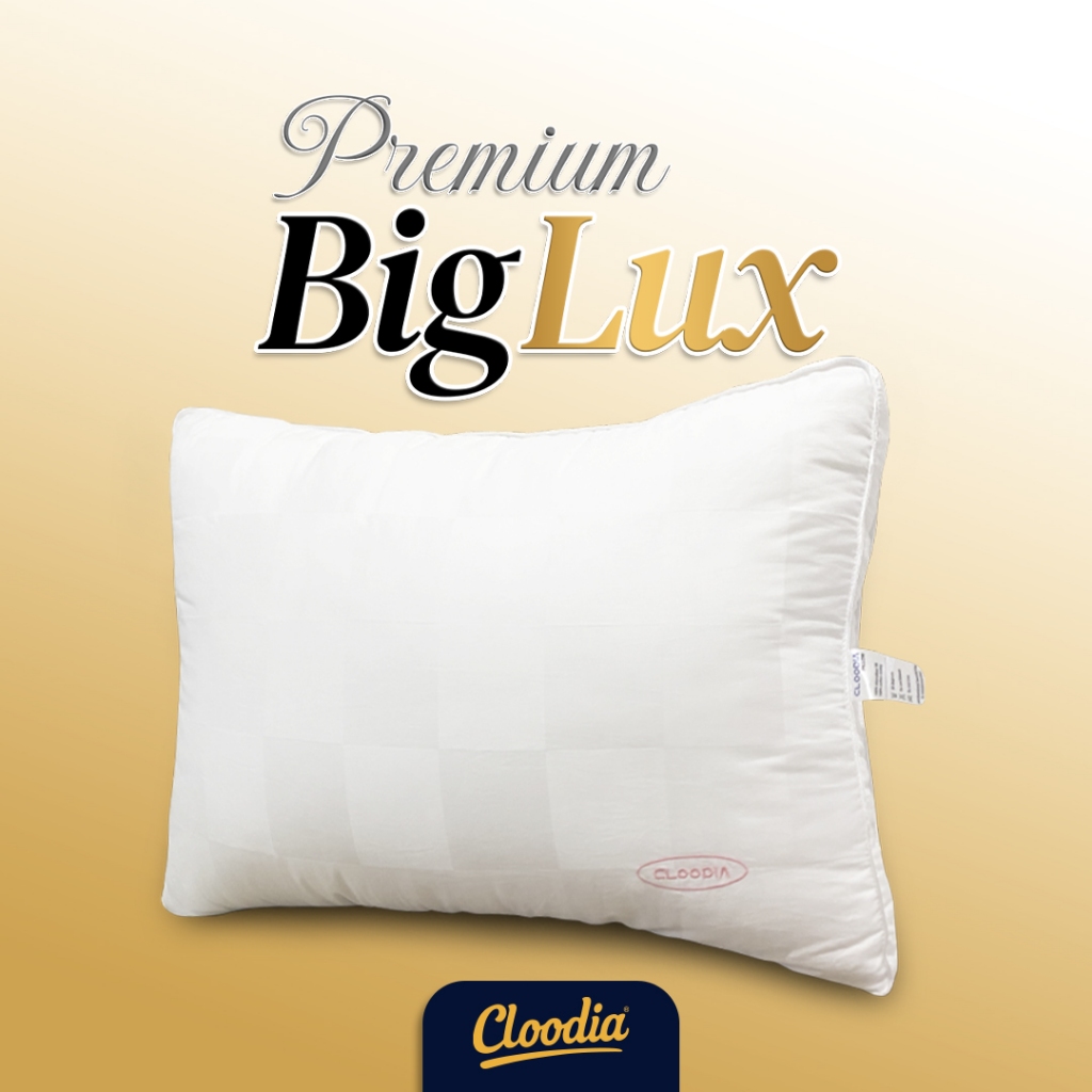 Bantal Premium BigLux - Bantal Hotel Bintang 5 Bantal Jumbo Bantal Hotel Bulu Angsa Bantal Hotel Pre