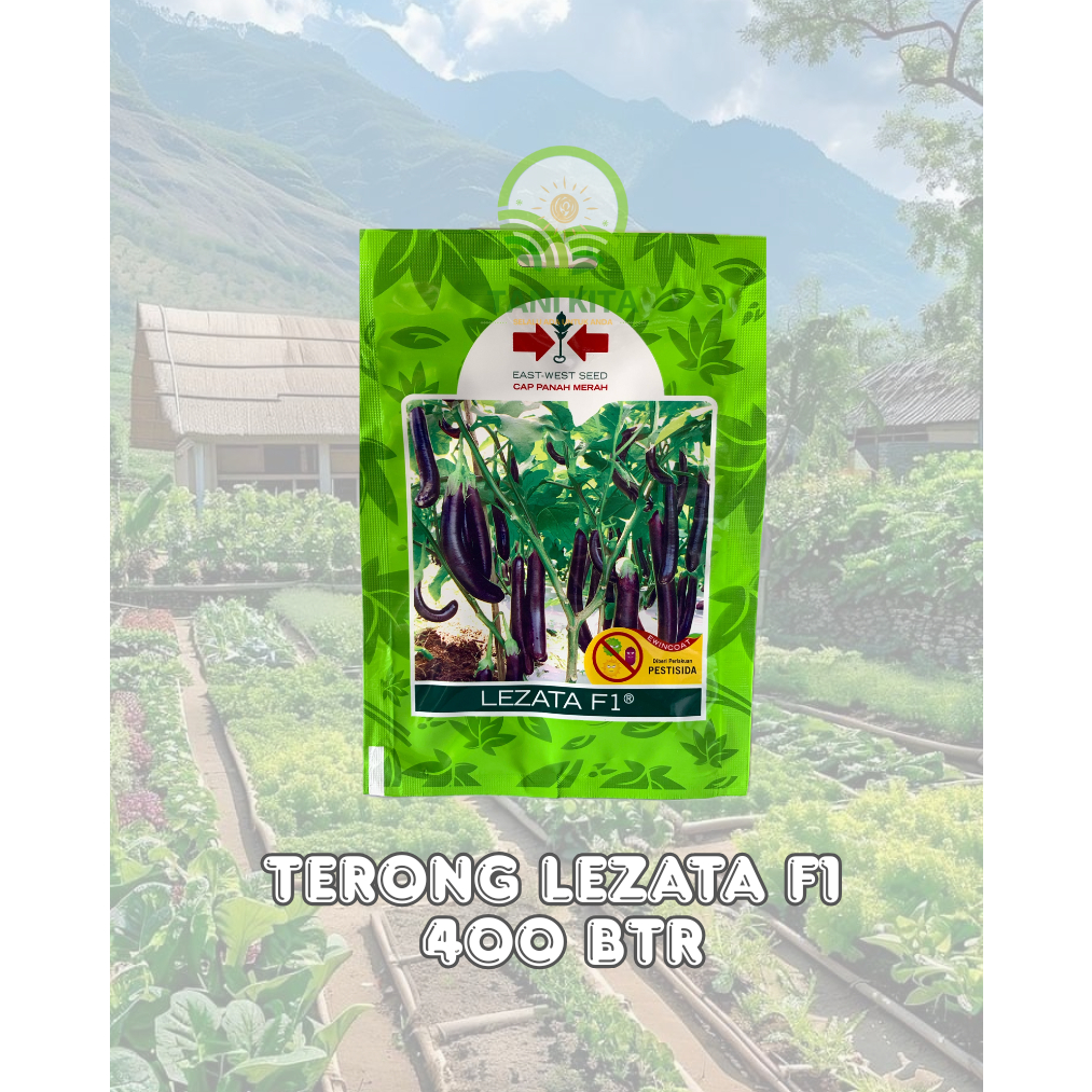BIBIT TERONG LEZATA F1