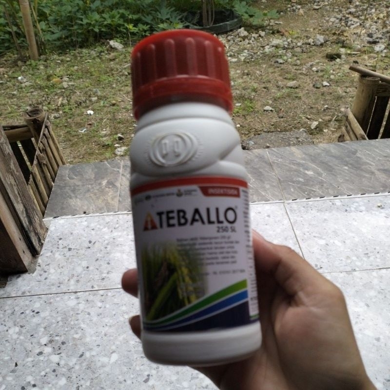 Teballo 250ml insektisida pembasmi wereng plenum pexalon