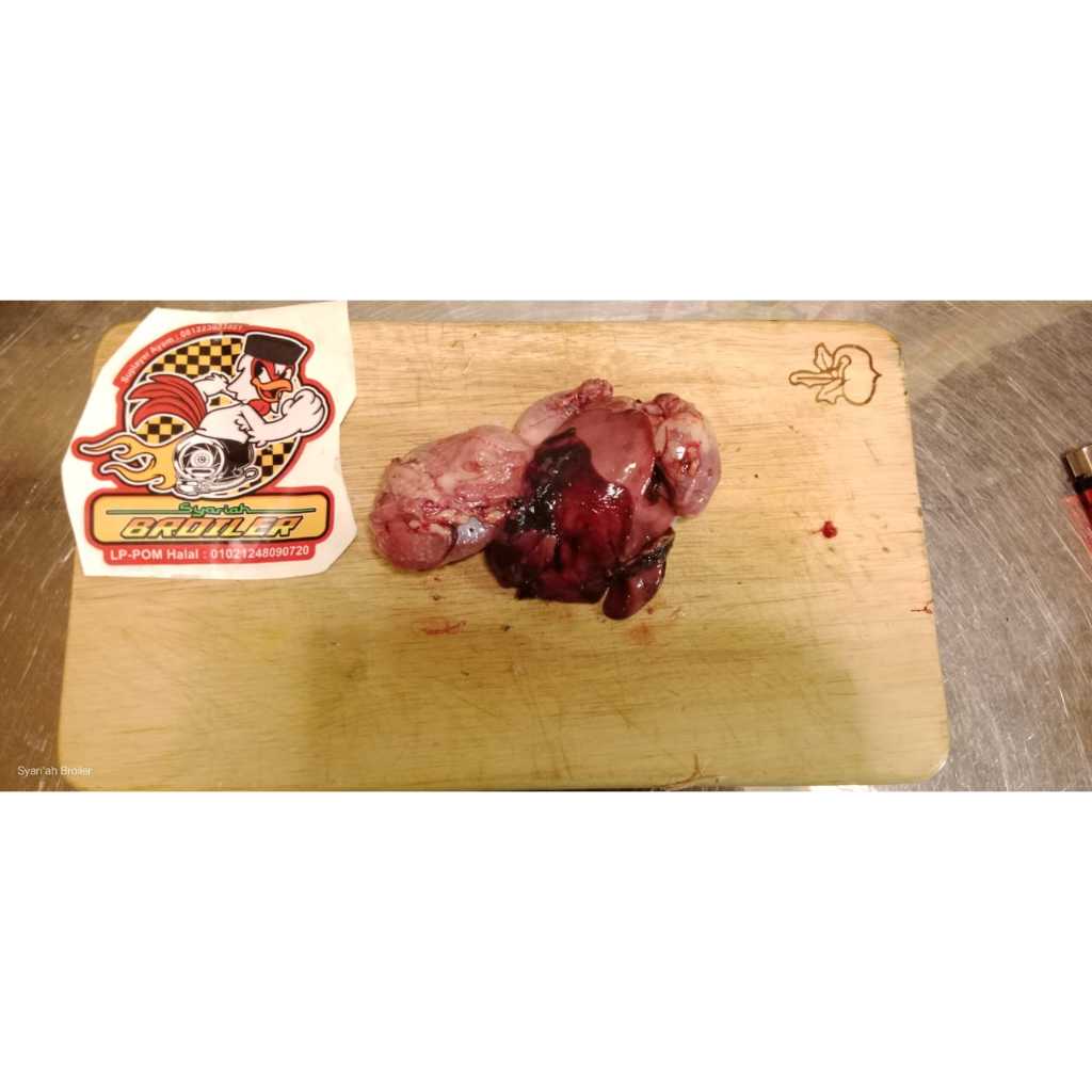 

Ati AYAM Kecil TG/ Besar Satuan ISI 5 PCS SYARIAH BROILER SERTIFIKASI HALAL & LAB