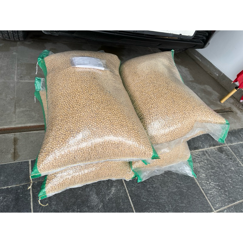 

kedelai lokal varietas grobogan