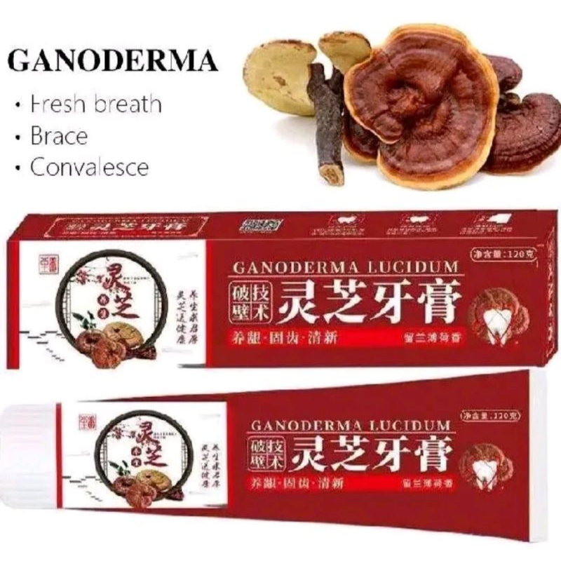 PASTA GIGI GANODERMA LUCIDUM