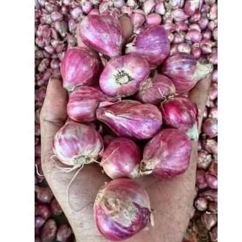 

BAWANG MERAH FRESH 1 KG TERMURAH