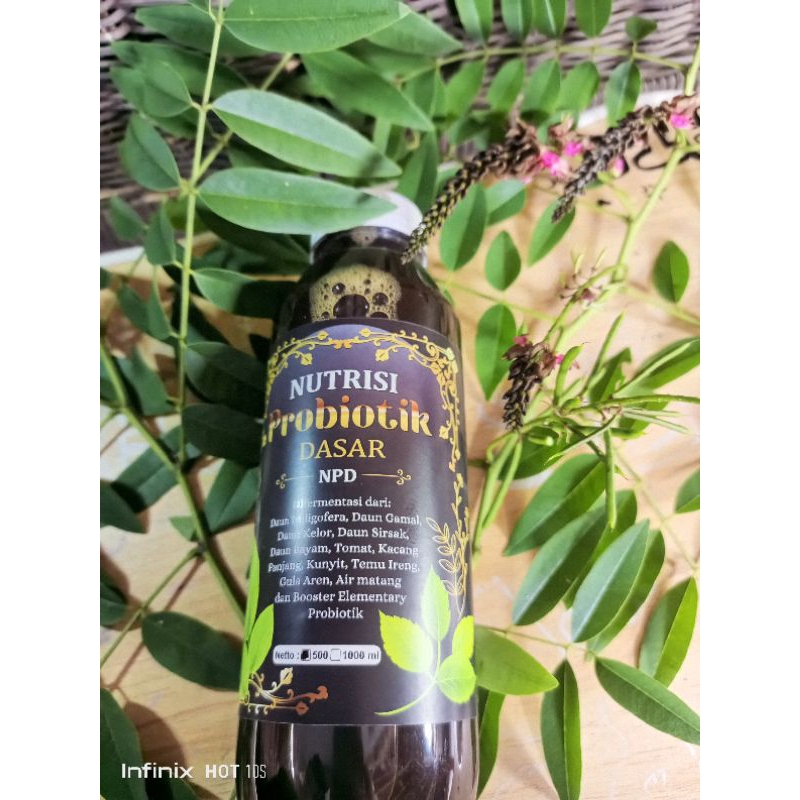 

NUTRISI PROBIITIK DASAR ( NPD )