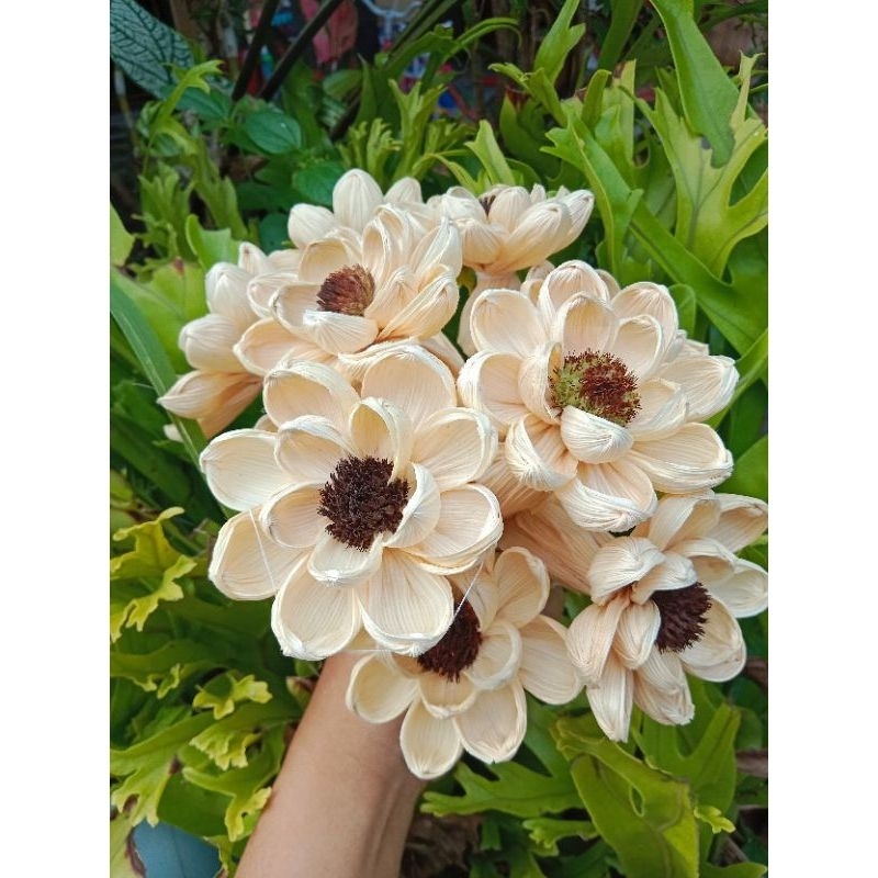 bunga hias kering hiasan mahar hiasan hampers