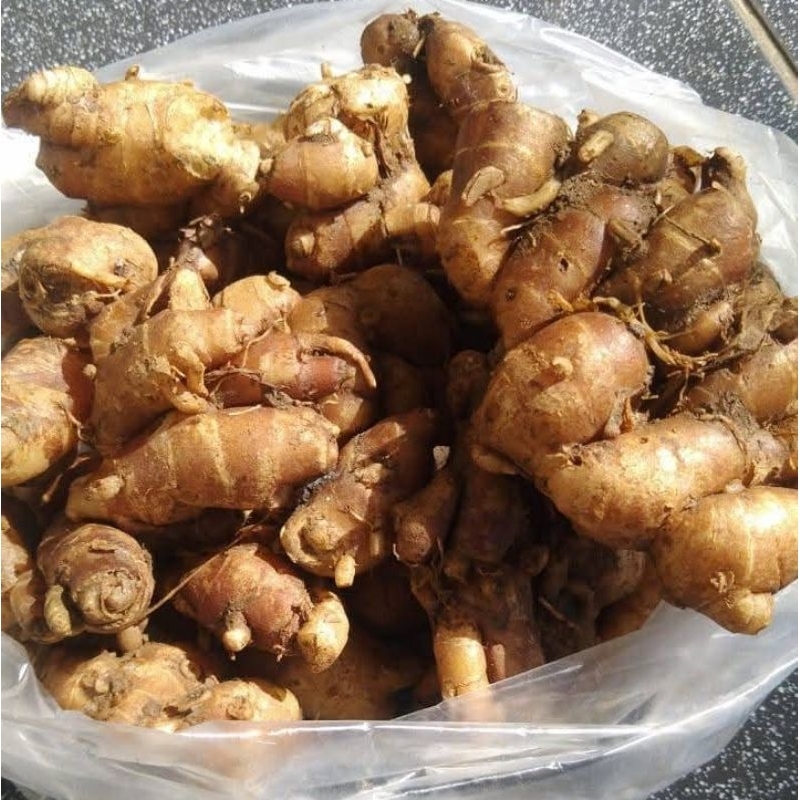 

KENCUR SEGAR 1 Kg. KUALITAS SUPER & MASIH FRESH