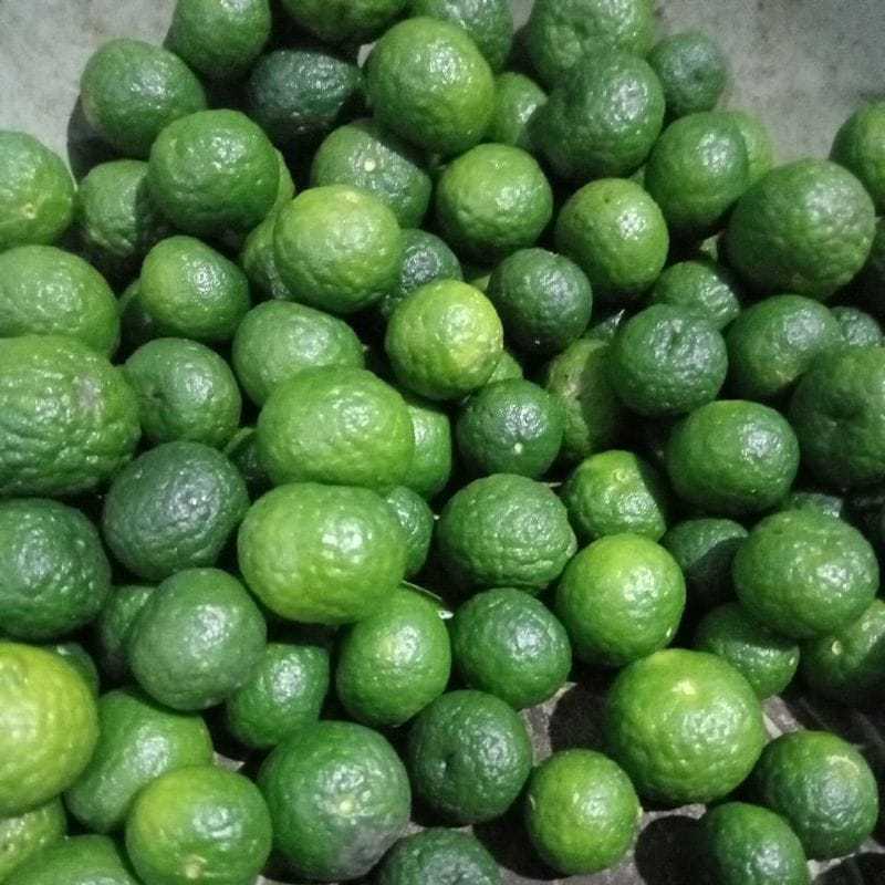 

Jeruk limau 250 gram kecil jeruk limo fresh jeruk sambal