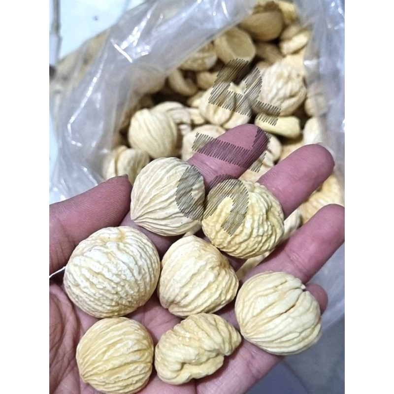 

Lakci/Kacang Berangan Import 250gram
