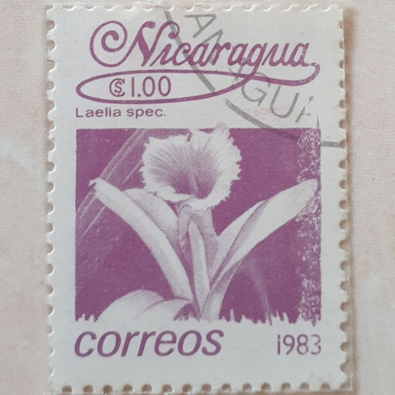 

Perangko Nicaragua Flowers 1983 (Laelia sp.) Tahun 1983