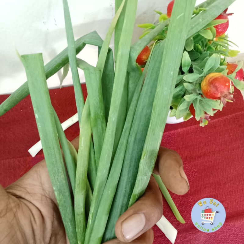 

daun bawang bersih murah 500 gr / promo daun bawang bahan masakan penyedap