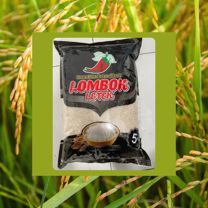 

Beras Lombok Letek 5 Kg IR 64